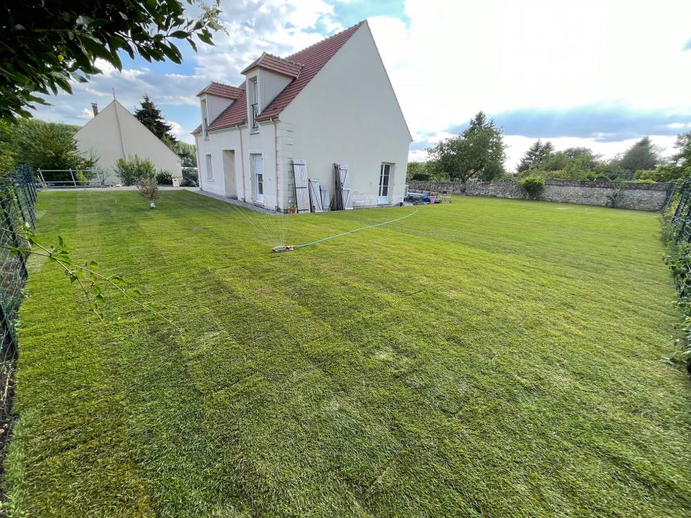 Gazon de placage 3.jpg