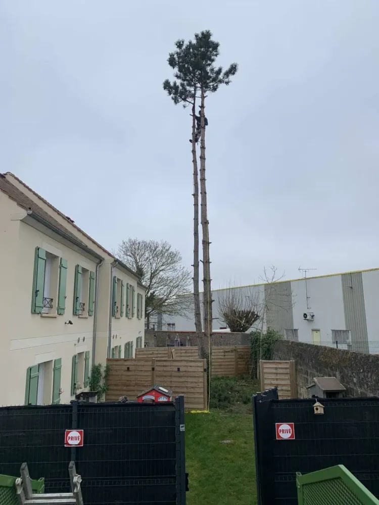 Millet Paysage - réalisations (7)webp