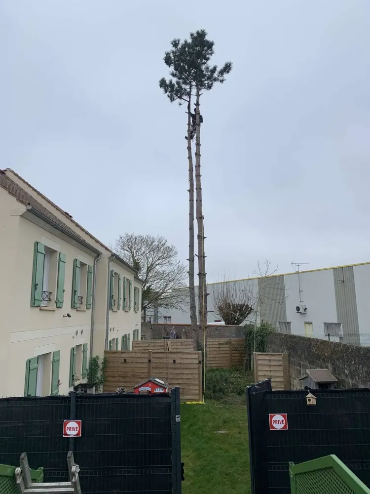 Millet Paysage - réalisations (9)webp